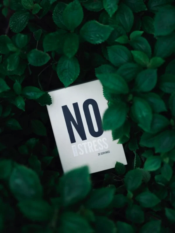 NO STRESS — Инновационный продукт для эмоционального баланса и контроля