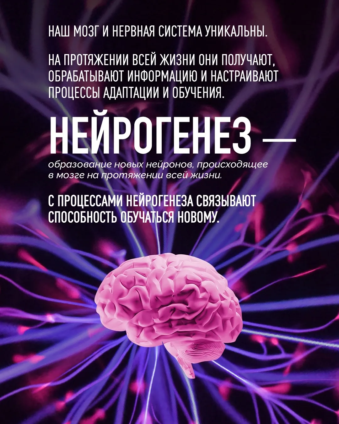 IQ BOOSTER - МЫСЛИ МАСШТАБНО