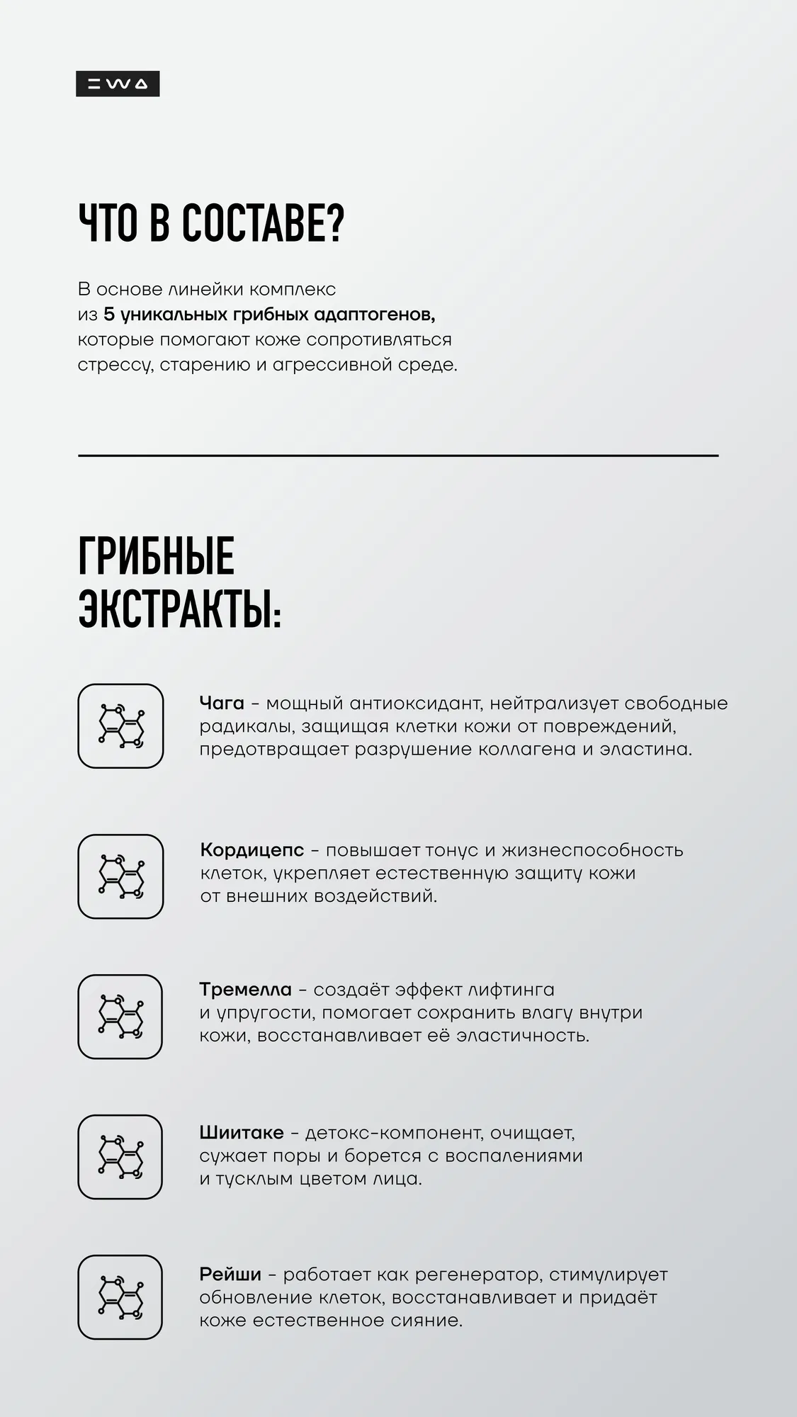 FACE BASE — Новая эра базового ухода