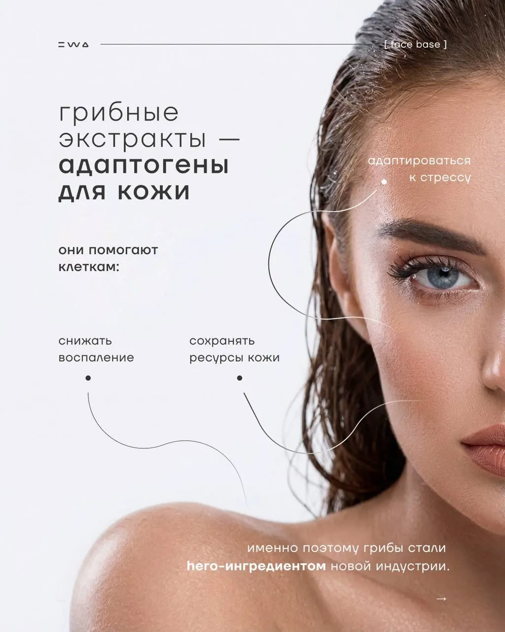 Главный BEAUTY тренд 2026 - Линейка FACE BASE.