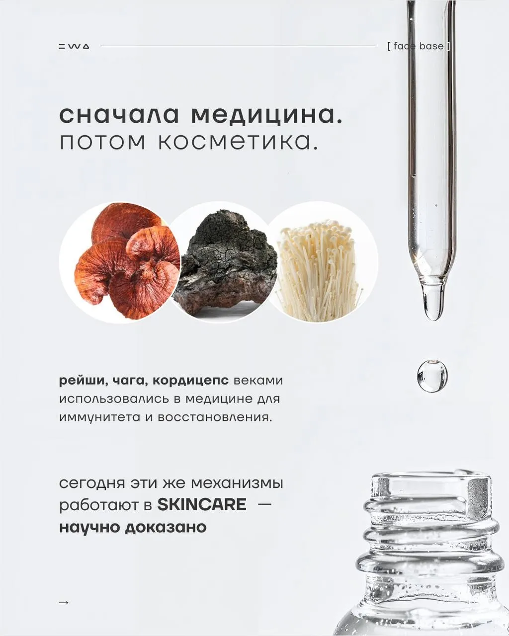 Главный BEAUTY тренд 2026 - Линейка FACE BASE.