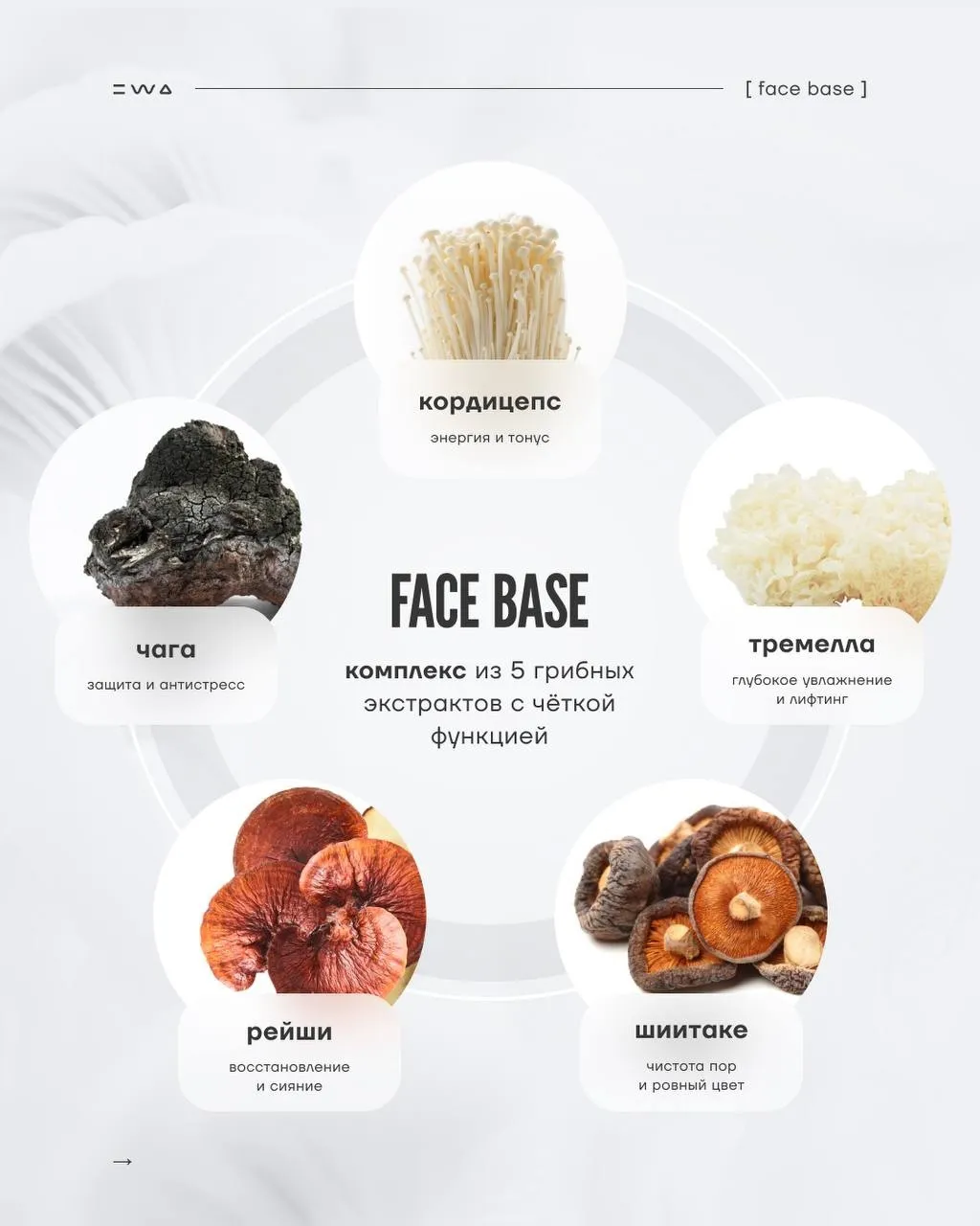 Главный BEAUTY тренд 2026 - Линейка FACE BASE.