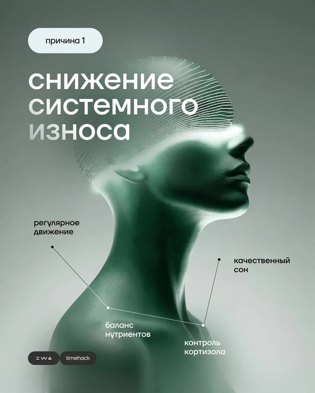 Карусель блога - С TIME HACK возраст это просто цифра