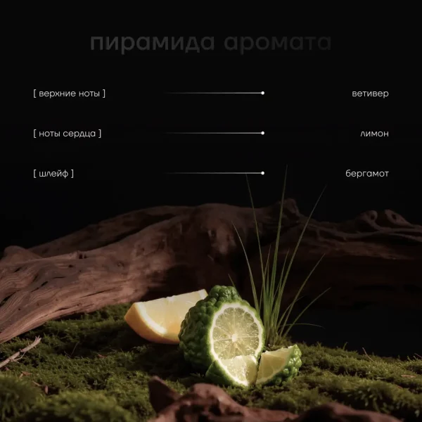 ДИФФУЗОР «ЦИТРУСОВЫЙ ЛЕС»-